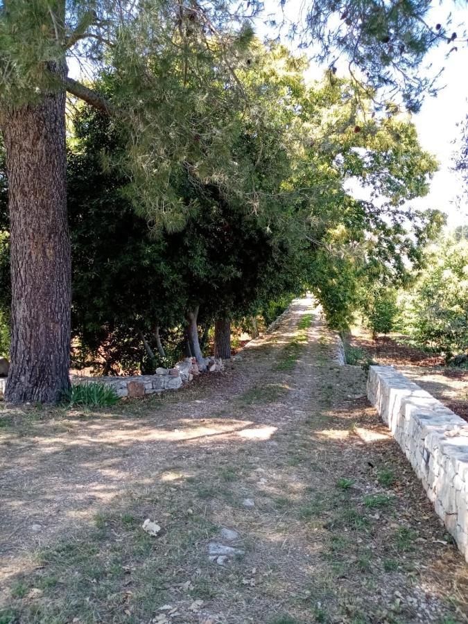 Il Trullo E Il Fortino Alberobello Eksteriør bilde