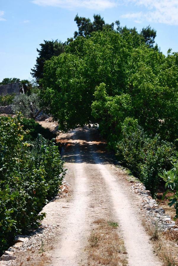 Il Trullo E Il Fortino Alberobello Eksteriør bilde